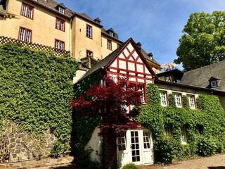 Burg Daun in Daun (Rheinland-Pfalz)