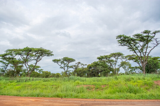 View with typical tropical landscape, trees and other types of vegetation