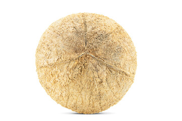 Coconut whole isolated on white background with clipping path side view