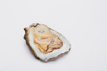 Fresh oyster on white background