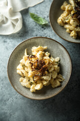 Traditional German noodles with cheese and fried onion