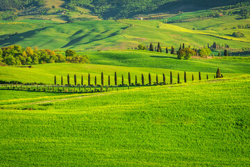 Landscape in Val d'Orcia valley of Tuscany, Italy.