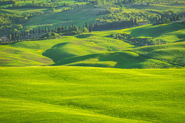 Fototapeta na wymiar Landscape in Val d'Orcia valley of Tuscany in spring time, Italy.