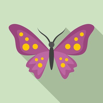 Floral butterfly icon. Flat illustration of floral butterfly vector icon for web design