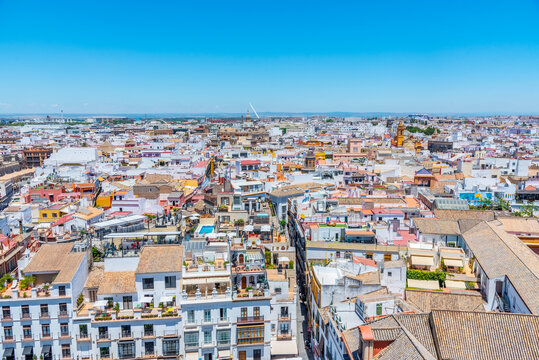 Downtown view of Sevilla with Metropolis Parasol and alamillo bridge, Spain
