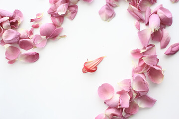 Obraz premium pink and red petals background / abstract aroma background, spa pink petals
