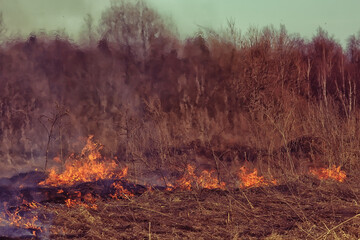 fire in the field / fire in the dry grass, burning straw, element, nature landscape, wind