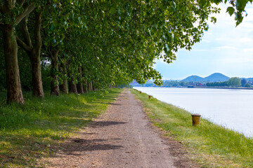 Sous les arbres sur le bord du canal