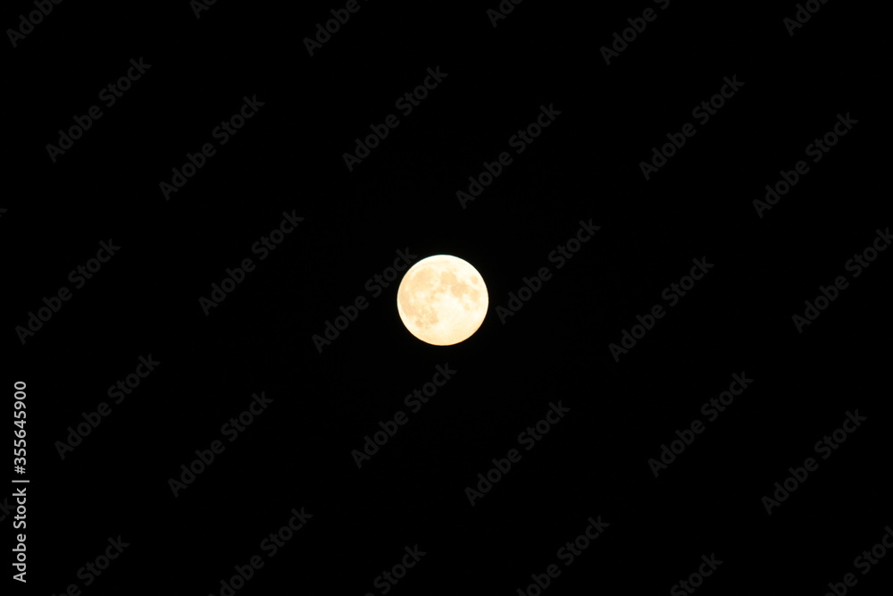 Wall mural full moon in the night sky