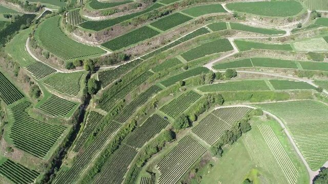 Vignobles Alsacien en drone 