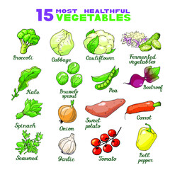 Vector illustration of health diet vegetables