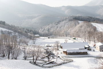 snow-covered landscape