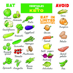 Vector illustration of low-carb ketogenic diet best and worst vegetables