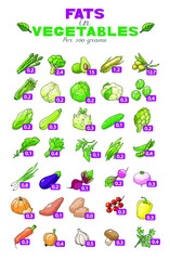 Vector illustration table of fats content in vegetables