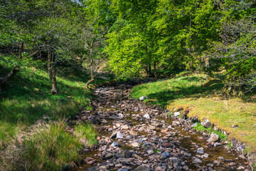 A summer three image HDR picture of Back Gill in Kingsdale near Ingleton, Yorkshire Dales National Park, England