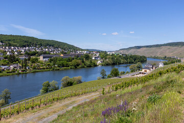 Fototapeta premium Wide angle view at Bernkastel-Kues and the river Moselle valley