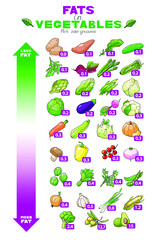 Vector illustration table of fats content in vegetables