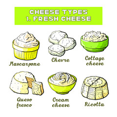 Vector illustration of cheese types and sorts