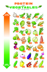 Vector illustration graph of protein content in vegetables