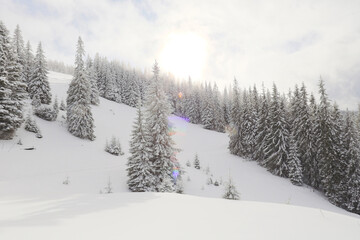 Fototapeta premium snow, fog, snow-capped peak in the mountains