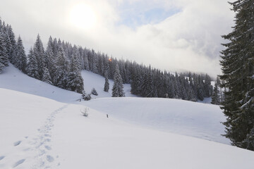 Fototapeta na wymiar snow, fog, snow-capped peak in the mountains