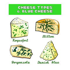 Vector illustration of cheese types and sorts