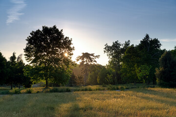 Fototapeta premium Vincennes wood sunrise in Paris city