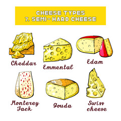 Vector illustration of cheese types and sorts