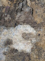 old stone wall