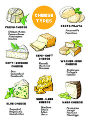 Vector illustration of cheese types and sorts