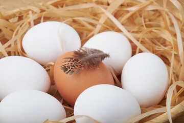 Крупным планом вид сырых куриных яиц в яйцеклетке на белом деревянном фоне