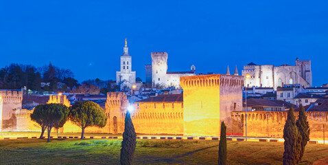 Palace of the Popes ( Palais des Papes) and Avignon Cathedral - Avignon city, France 