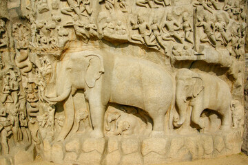 Fototapeta premium Mamallapuram, India. Detail of the elephants in the Stone Sculptures of Mahabalipuram: Arjuna's penance.