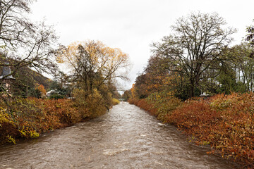 Fototapeta premium Paisaje otoñal con río.