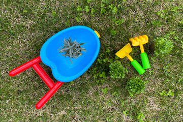 Children's colorful garden trolley with seedlings, top view with garden tools