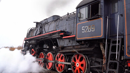 Fototapeta na wymiar Retro steam train in clouds of smoke rides by rail, rolling tourists