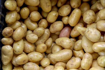 Close up of new potatoes for sale in a vegetable market