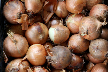 Close up of onions for sale in a vegetable market
