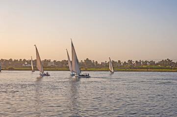 Traditional egyptian felluca sailing boats sailing on Nile