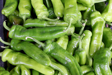 Closeup of sweet Italian green pepper friggitello on sale in a vegetable market