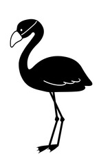 マスクを着けたフラミンゴ 鳥 シルエット