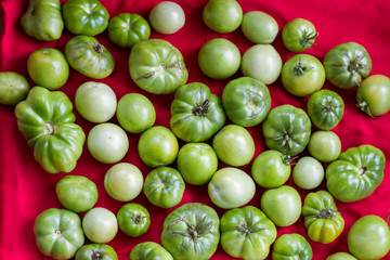 Colorful green organic tomatoes in a red background. 