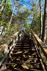 Fototapeta premium Hurricane Fall Staircase in the Tallulah Falls Gorge State Park hiking trails. View looking up the endless steps in the Georgia National Park