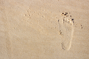 Fototapeta na wymiar footprint in the sand at Copacabana beach.