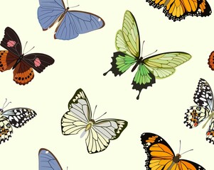 Seamless pattern with multi-colored butterflies of different breeds. Vector illustration