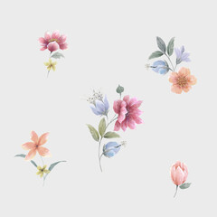 Flowers watercolor illustration.Manual composition.Big Set watercolor elements，Design for textile, wallpapers，Element for design,Greeting card