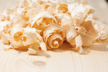 Large shavings from spruce wood close-up on a board of spruce backgroud. Macro photography with constant light