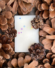 stylish wooden background with pine cones, copy space for text. seasonal holidays and SPA concept