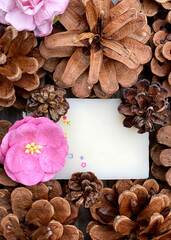 stylish wooden background with pine cones, copy space for text. seasonal holidays and SPA concept