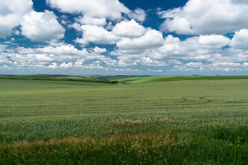 Obraz premium Close up to the agriculture field in the storm